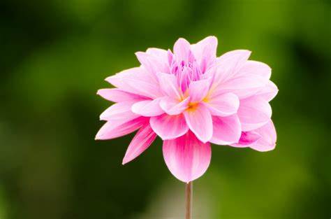 The power of positive thinking